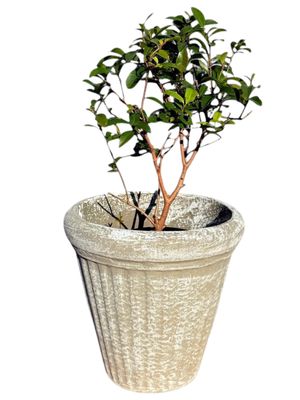 Wave Pot Medium Whitewash Finish - H350mm x W240mm - 8kg