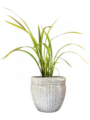 Round Wave Pot Medium Whitewash Finish - H280mm x W320mm - 7kg