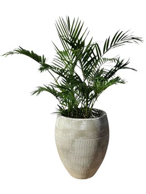 Anja Pot Large Whitewash Finish - H600mm x W470mm - 21kg