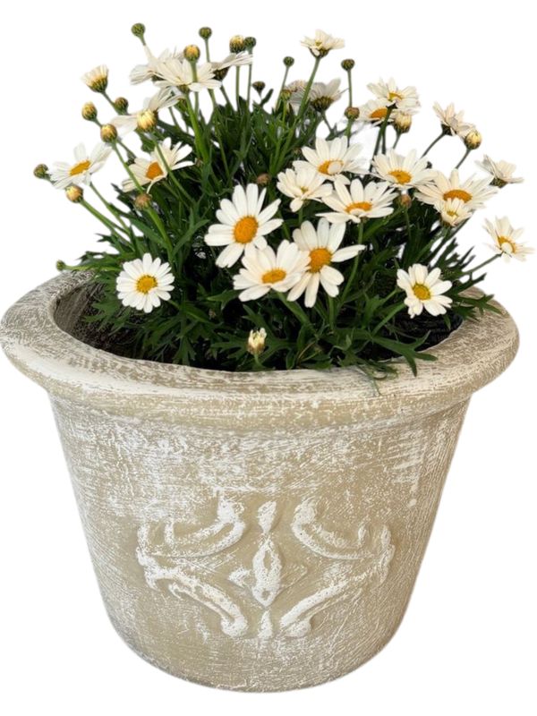 Adria Pot Small Whitewash Finish - H220mm x W320mm - 5.8kg