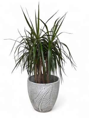Blaar Pot Medium Whitewash Finish - H290mm x W275mm - 7.8kg