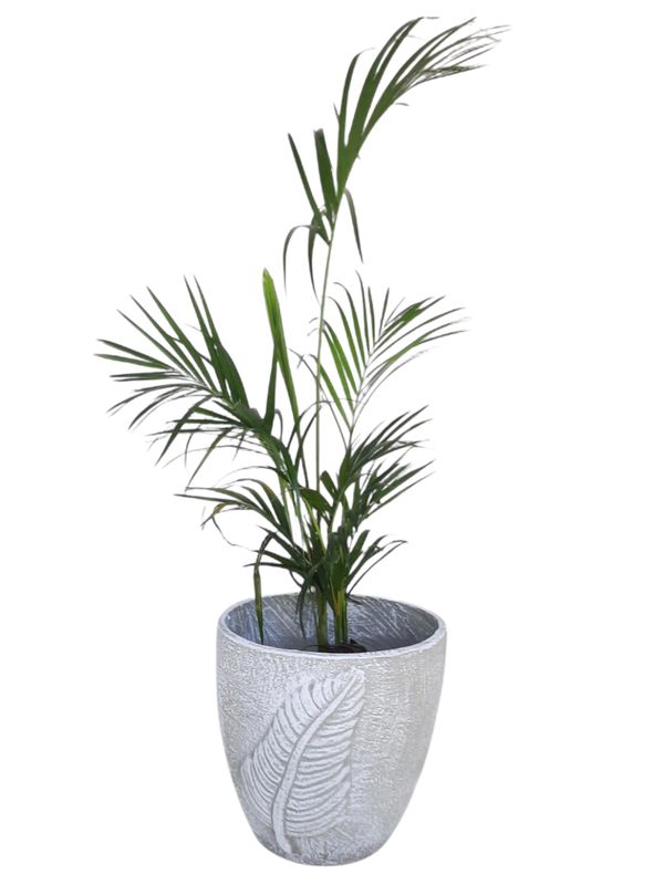 Blaar Pot Large Whitewash Finish - H375mm x W350mm - 11kg