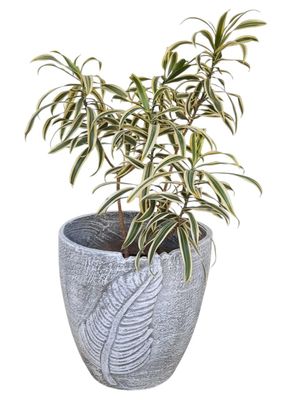 Zig Zag Leaf Pot Large Whitewash Finish - H350mm x W350mm - 11kg
