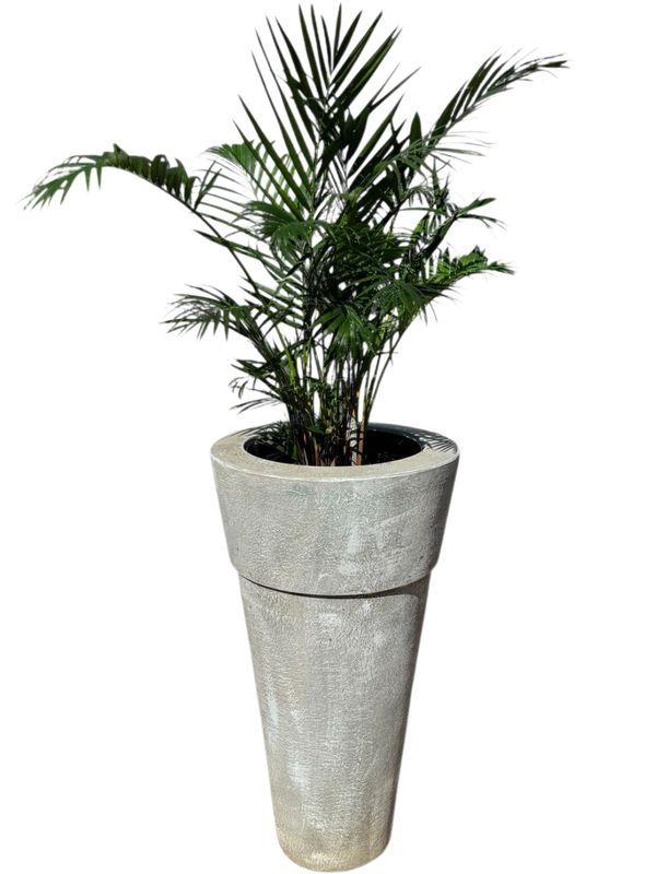 Jade Pot Extra Large Whitewash Finish With Liner - H1000mm x W570mm - 50kg