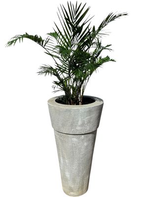 Jade Pot Extra Large Whitewash Finish With Liner - H1000mm x W570mm - 50kg