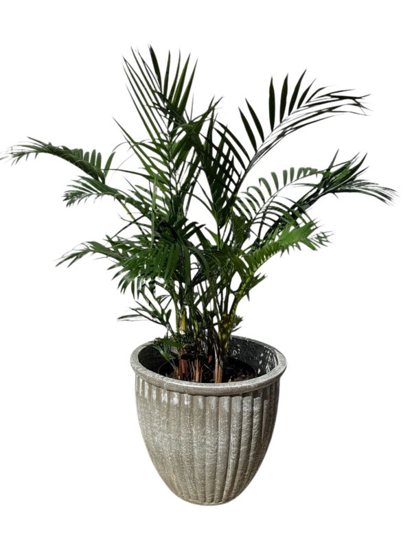 Stripe Pot Large Whitewash Finish - H410mm x W420mm - 15kg