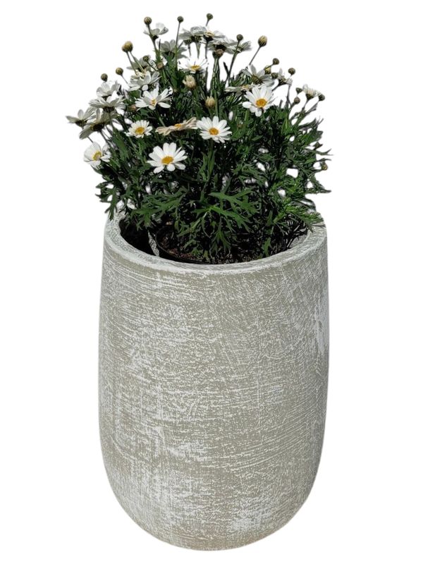 Tumbler Medium Whitewash Finish - H435mm x W215mm - 9kg