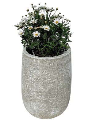 Tumbler Medium Whitewash Finish - H435mm x W215mm - 9kg