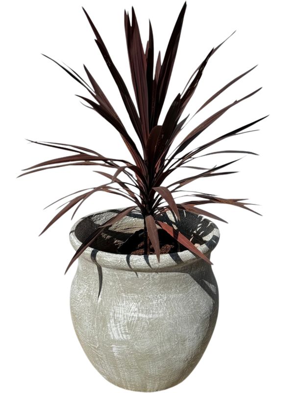 Fatso Flower Pot Large Whitewash Finish - H640mm x W610mm - 48kg