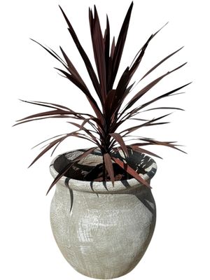 Fatso Flower Pot Large Whitewash Finish - H640mm x W610mm - 48kg