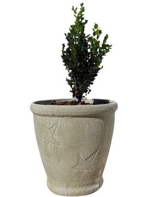Star Pot Large Whitewash Finish - H375mm x W345mm - 11kg