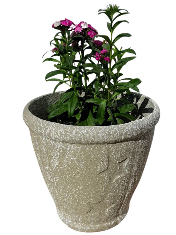 Star Pot Medium Whitewash Finish - H300mm x W285mm - 6.6kg