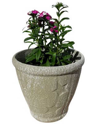 Star Pot Medium Whitewash Finish - H300mm x W285mm - 6.6kg