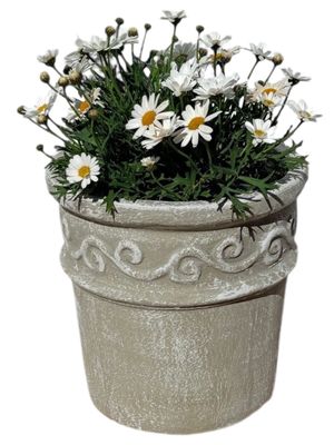 Fragrant Small Whitewash Finish - H250mm -W400mm-Mouth310mm - 6kg