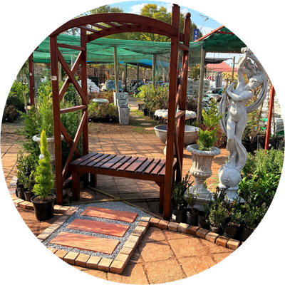Online Specials