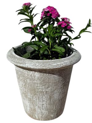 One Ring Pot Small Whitewash Finish - H250 x W270mm - 6kg