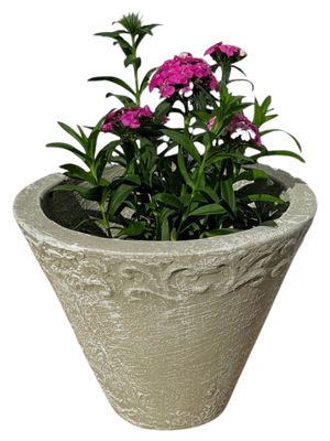 Floral Small Whitewash Finish - H220mm - 6kg