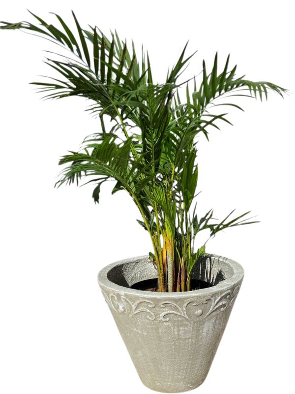Floral Large White Wash Finish - H400mm x W480mm - 15kg