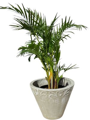 Floral Large White Wash Finish - H400mm x W480mm - 15kg