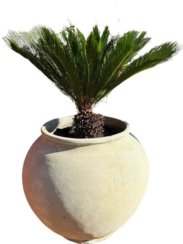 Africana Jeanne Pot Extra Large Whitewash Finish - H900mm x W800mm - 80kg