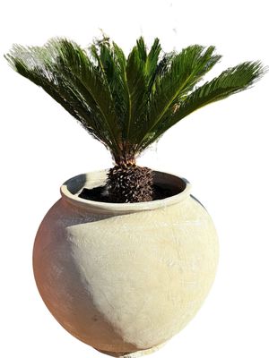 Africana Jeanne Pot Extra Large Whitewash Finish - H900mm x W800mm - 80kg