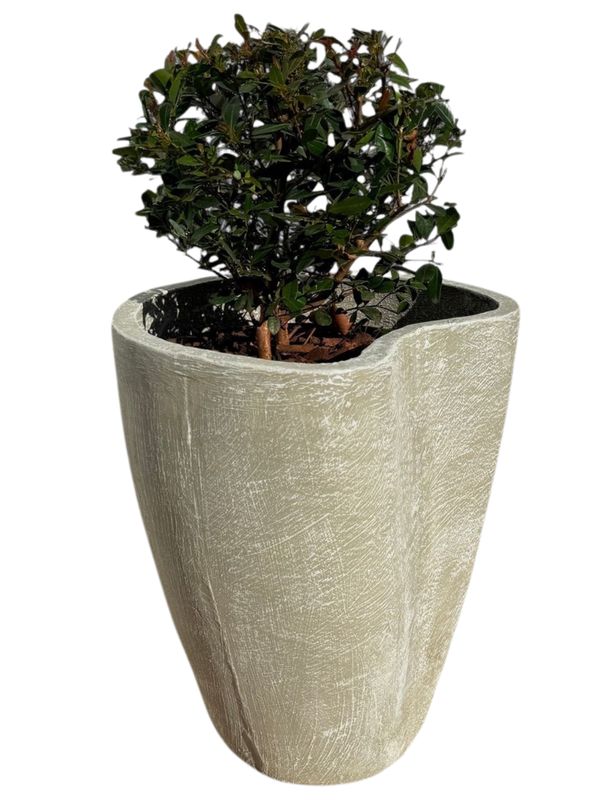 Moon Pot Medium Whitewash Finish - H500mm - 19kg