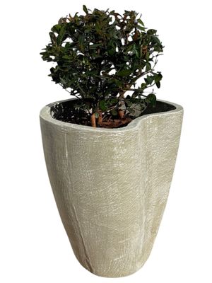 Moon Pot Medium Whitewash Finish - H500mm - 19kg