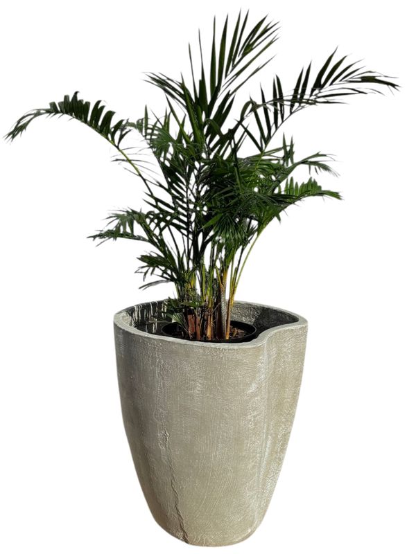 Moon Pot Extra Large Whitewash Finish - H650mm - 35kg
