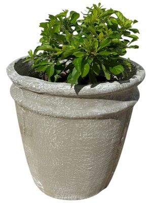 2 Ring Pot Medium Whitewash Finish - H310mm x W300mm - 8kg