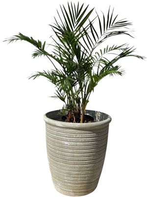 Louvre Pot Large Whitewash Finish - H480mm x W440mm - Mouth 410mm 18kg