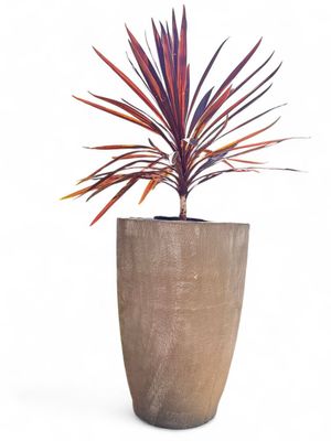 Bergmann's Pot Extra Large Whitewash Finish - H910mm x W630mm - 60kg