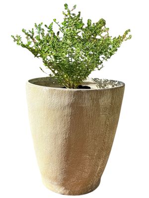 Bergmann's Pot Large Whitewash Finish - H650mm - 38kg
