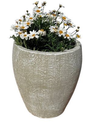Elegant Small Whitewash Finish - H270 x W230mm - 7kg