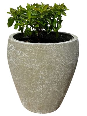 Elegant Medium Whitewash Finish - H380mm-W300mm - 10kg