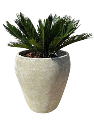 Elegant Large Whitewash Finish - H480mm x W450mm - 18kg