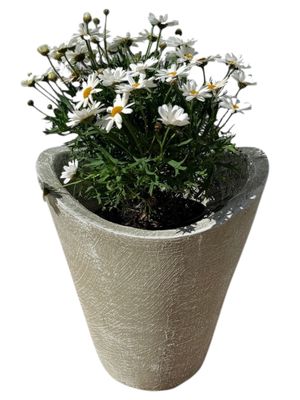 Guppy Small Whitewash Finish - H300mm - 7kg