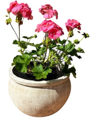 Round Multi Planter Small Whitewash Finish - H190mm - W280mm - 6kg