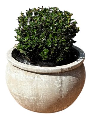 Round Multi Planter Medium Whitewash Finish - H280mm - 14kg