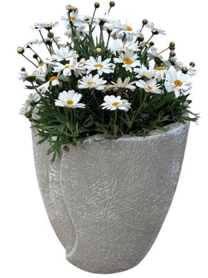 Leaf Pot Small Whitewash Finish - H230mm - 5kg