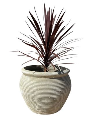 African Round Louvre Pot Medium Whitewash Finish H460mm - W660mm- Mouth 460mm - 23kg