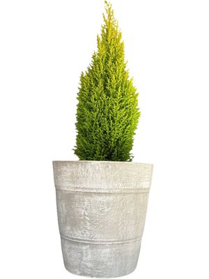 Violet Pot Large Whitewash Finish - H340mm-W360mm - 13kg