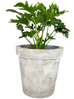 Concrete Planter Pot Medium Whitewash Finish - H290mm-W300mm - 13kg