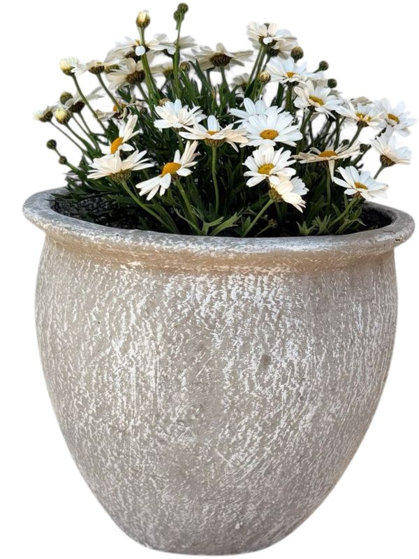 Andries Pot Round Small Whitewash Finish - H250mm - 6kg