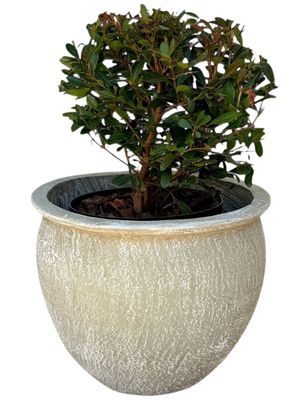 Andries Pot Round Medium Whitewash Finish - H320mm - 12kg