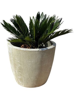 Bug Pot Medium Whitewash Finish - H400mm x W430mm - 21kg