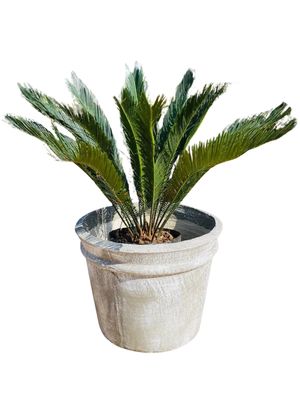 Versace Planter Small Whitewash Finish - H410mm x W540mm - 20kg