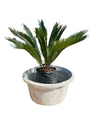 Classic Round Versace Planter Whitewash Finish - H310mm x W640mm - 27kg