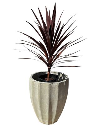 Jackie Pot Large Whitewash Finish - H680mm x W550mm - 29kg