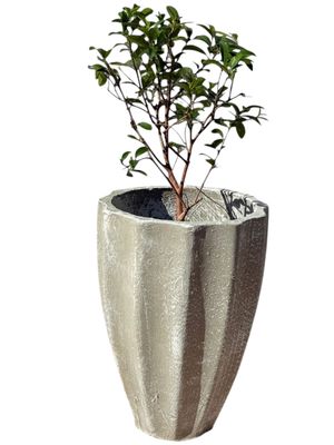 Jackie Pot Small Whitewash Finish - H400mm x W300mm - 7kg