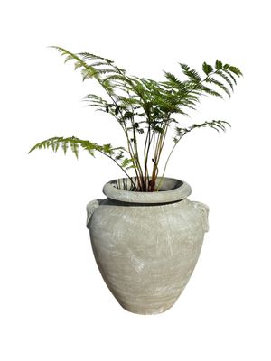 Amphora Urn Whitewash Finish - H870mm x W700mm - 57kg